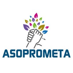 Logo asoprometa_255x300